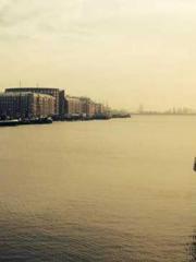 lt;You cultivate imm lt;You cultivate imm