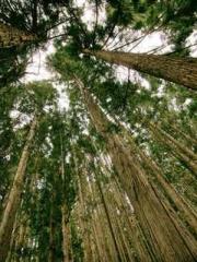 lt;lt;lt;The Absolut