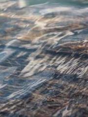 [Fast Travel] Posses