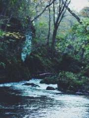 Canapos;t this be tr Canapos;t this be tr