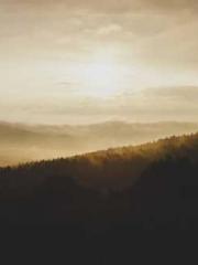 Shen Zhixiu Su Qingy Shen Zhixiu Su Qingy