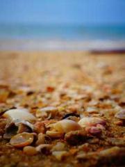 One Night Marriage P